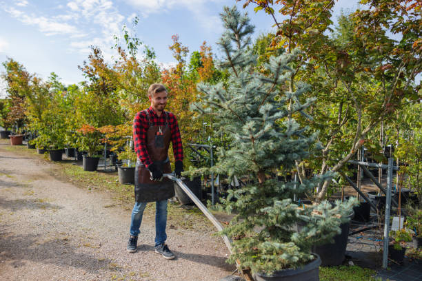 Best Seasonal Cleanup (Spring/Fall)  in Buzzards Bay, MA